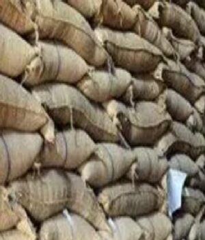 ક્રાંતિ સમય