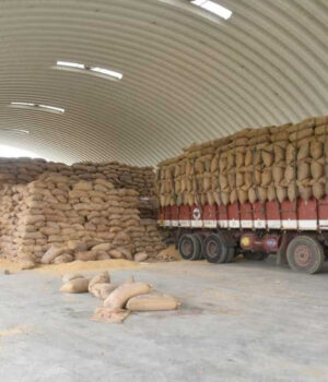 ક્રાંતિ સમય