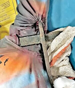 image૧૧સ્દ્ફ્