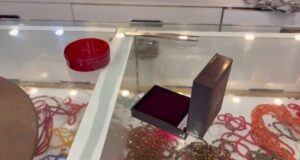 સચિન GIDC વિસ્તારમાં ‘શંકર જ્વેલર્સ’ શોપમાં ચોરીની ઘટના